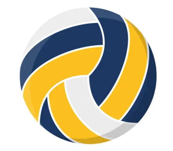 Torneo Volley